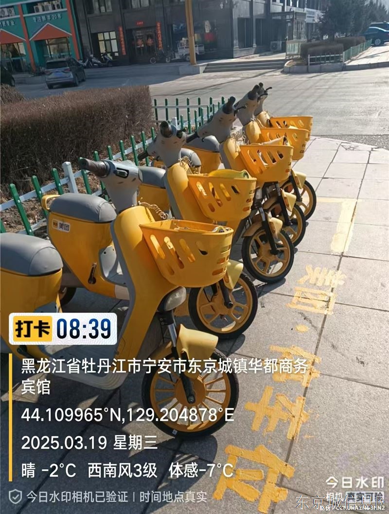 诚招 招聘